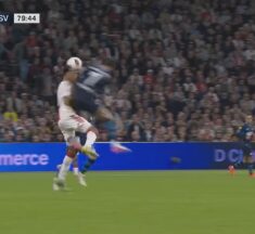 De beuk van Van Bommel