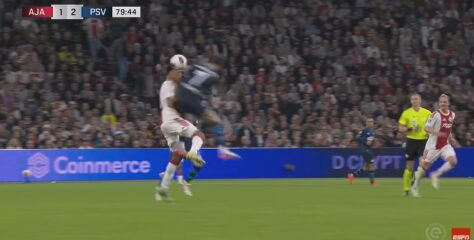 De beuk van Van Bommel