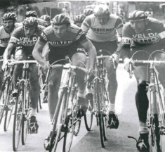 Eerbetoon voor Frans Van Looy