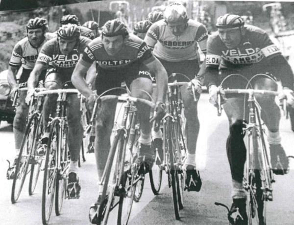 Eerbetoon voor Frans Van Looy